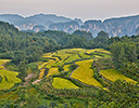 Rice Fields Wulingyuan area, China