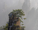 Pillars Zhangjaijie Forest Park Wulingyuan Scenic Area, China