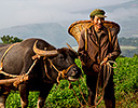 Ox cart and couple in fields Kunming Dongchuan Red Land, China