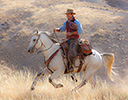 Fall Cowboy Horse Drive, Shell Wyoming and the Hideout Ranch