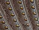 Argus Pheasant Wing Feather Design