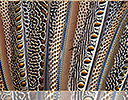 Argus Pheasant Wing Feather Design