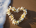 Plumeria lei on sand with wave approaching