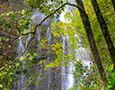 Waterfall Hana, Maui Hawaii