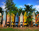 Surf board fence in up country Maui, Hawaii