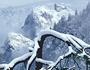 Fresh snow fall Yosemite NP., CA.