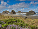 Seastacks and lupine just south of Cape Sebastian, Southern Oregon Coast