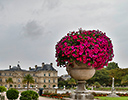 Palace du Luxembourg Paris France