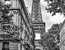 Paris and Eiffel Tower in Black