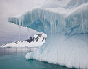 Iceberg in Antarctic waters