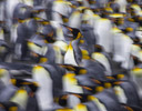 King Penguins - South Georgia Island