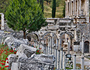 Poppies and ruins of Ephesus, Turkey