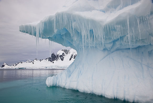Darrel Gulin Photography | Gallery | Antarctica